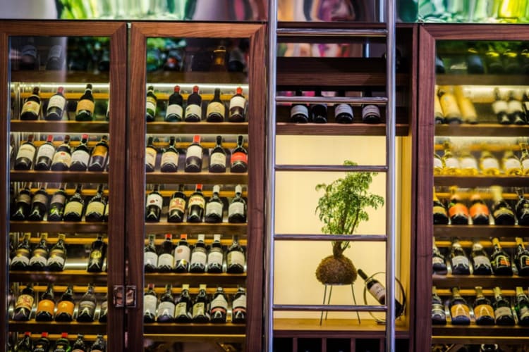 Costes Downtown wine